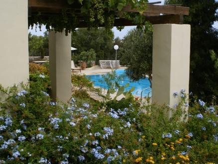 Villa Eleni in Piskopiano, Heraklion (Kreta) Außenaufnahme
