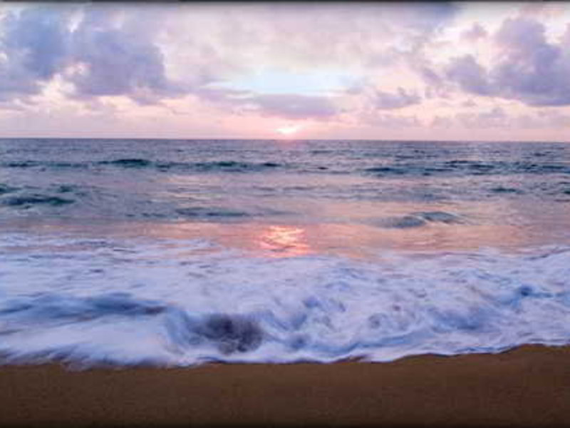 Strand