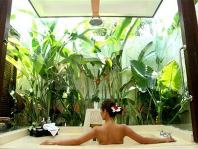 Wellness
