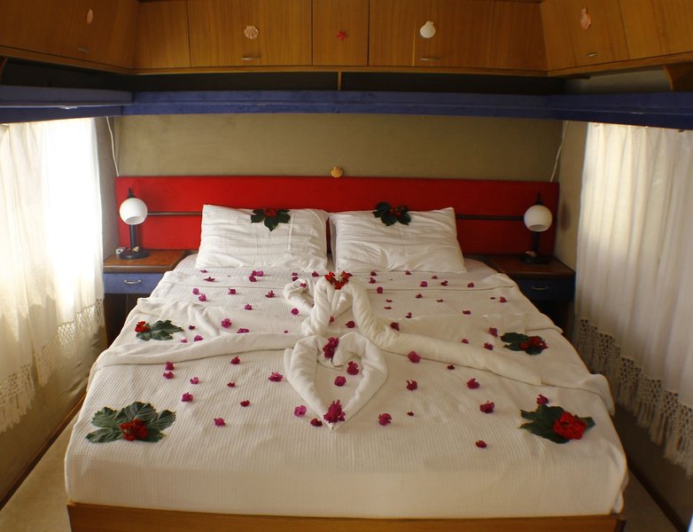 Golden Sand Beach & Caravan in Fethiye, Dalaman Tiere