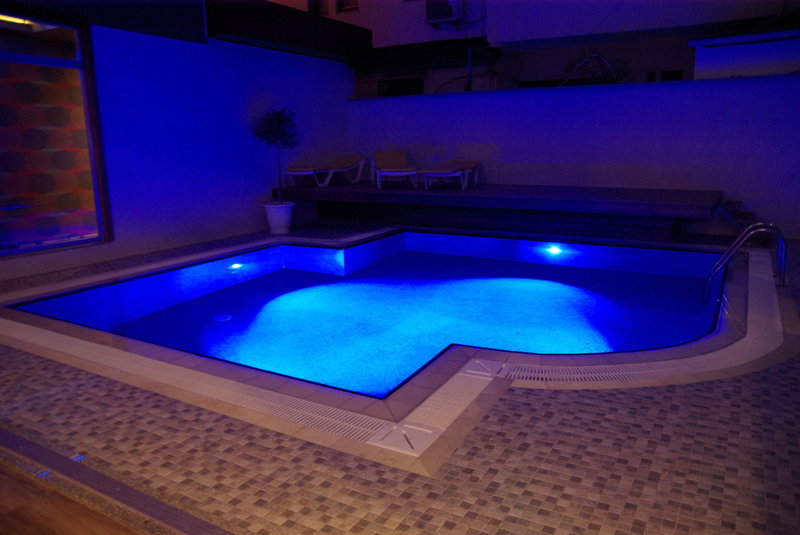 Wellness