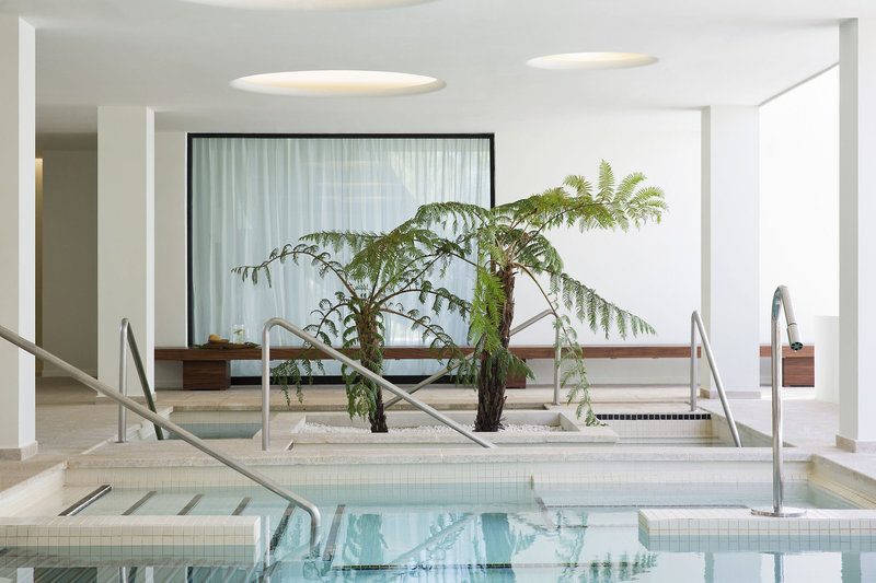 Wellness