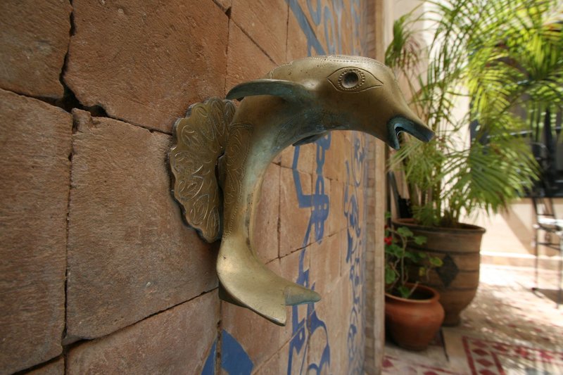 Tiere