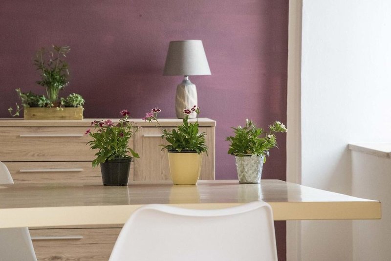 Lounge/Empfang