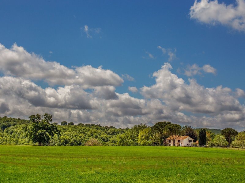 Landschaft