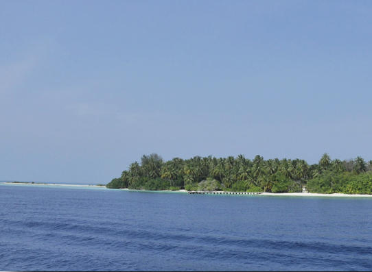 Arena Lodge in Maafushi, Male (Malediven) Strand