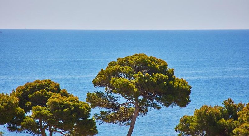 Landschaft