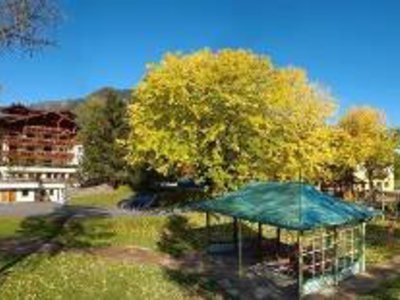 Tauernhof in Großarl, Salzburg (AT) Außenaufnahme