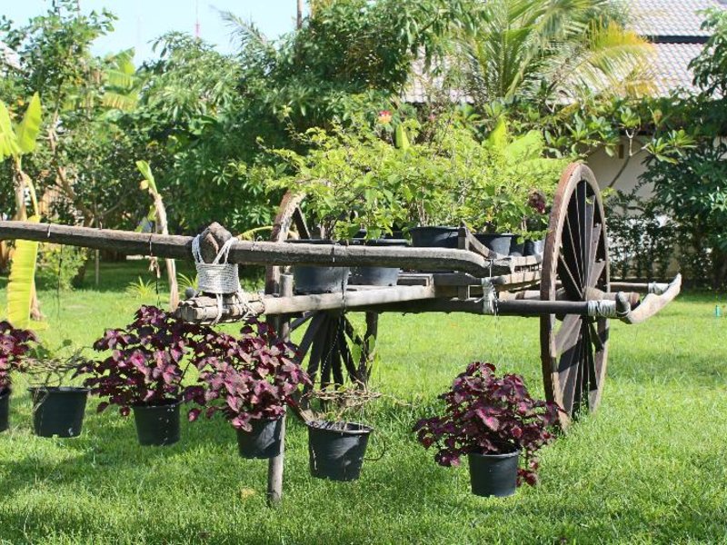 Asarita Angkor Resort & Spa in Siem Reap, Siem Reap (Kambodscha) Garten