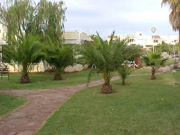 Garten