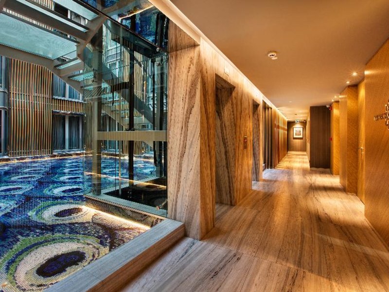 Wellness
