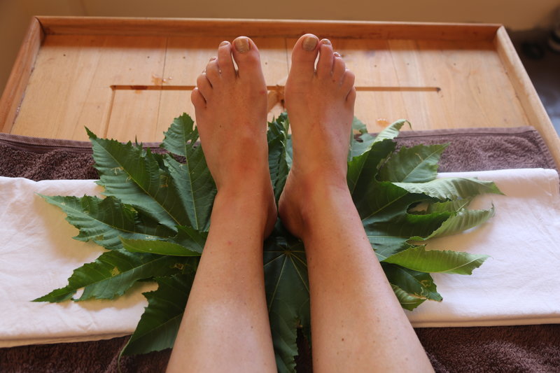 Wellness