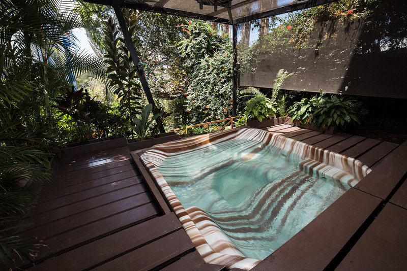 Wellness