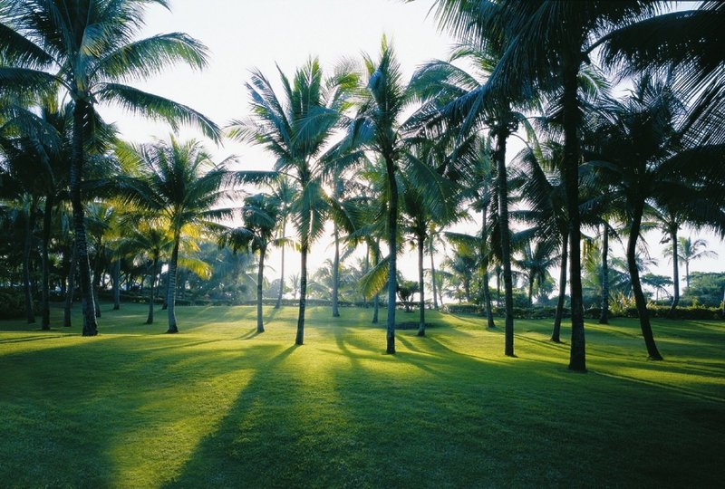 Shangri-La Mactan in Insel Cebu, Cebu Wohnbeispiel