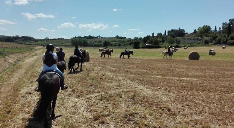 Agriturismo Fattoria Rozzalupi in Cerreto Guidi, Pisa Tiere