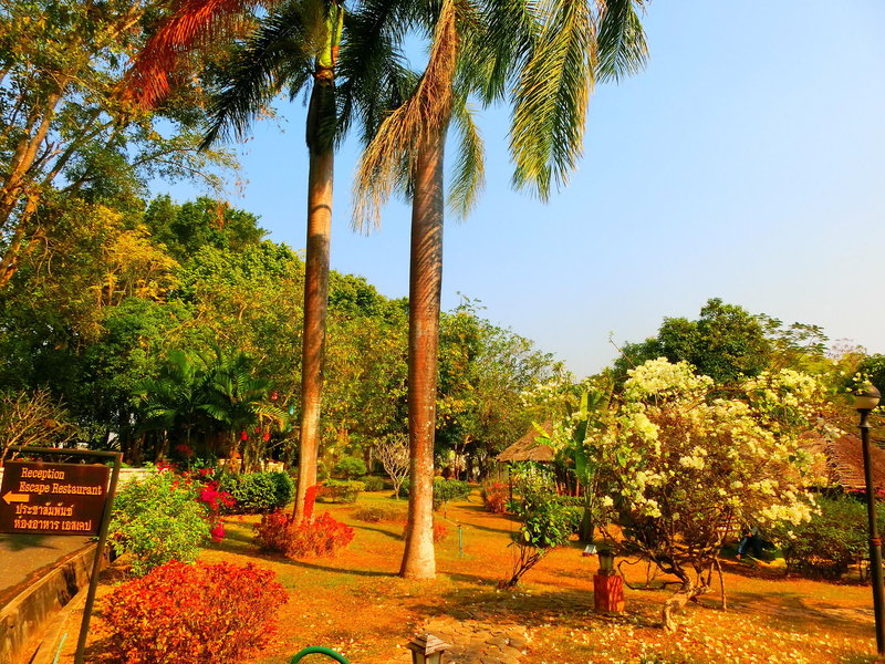 Away Suansawan Chiang Mai - Centara Boutique Collection in Chiang Mai, Bangkok Garten