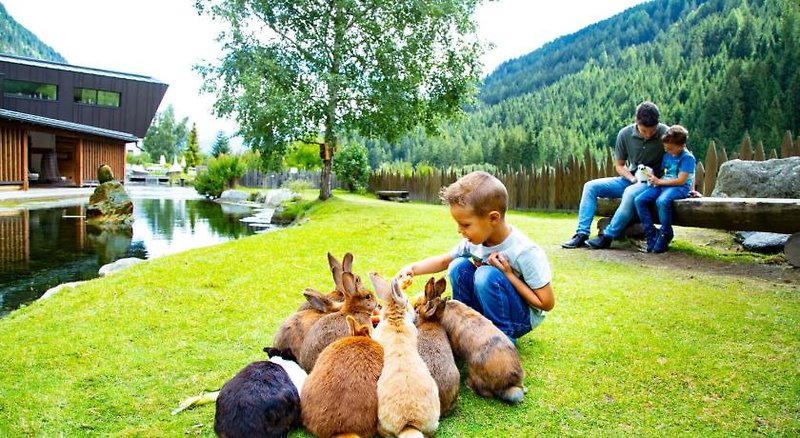 Tiere