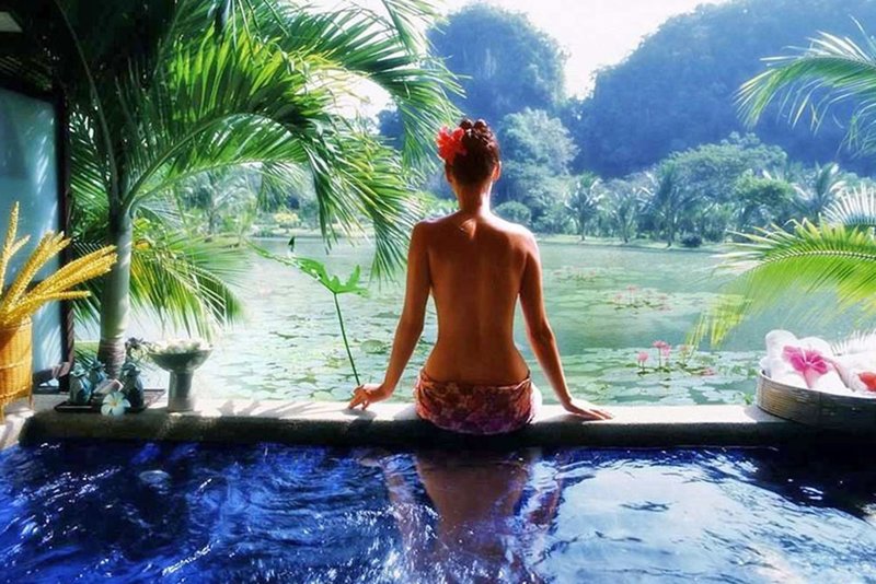 Wellness