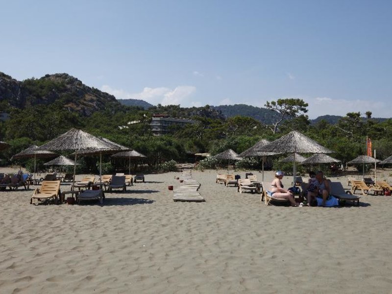 Strand