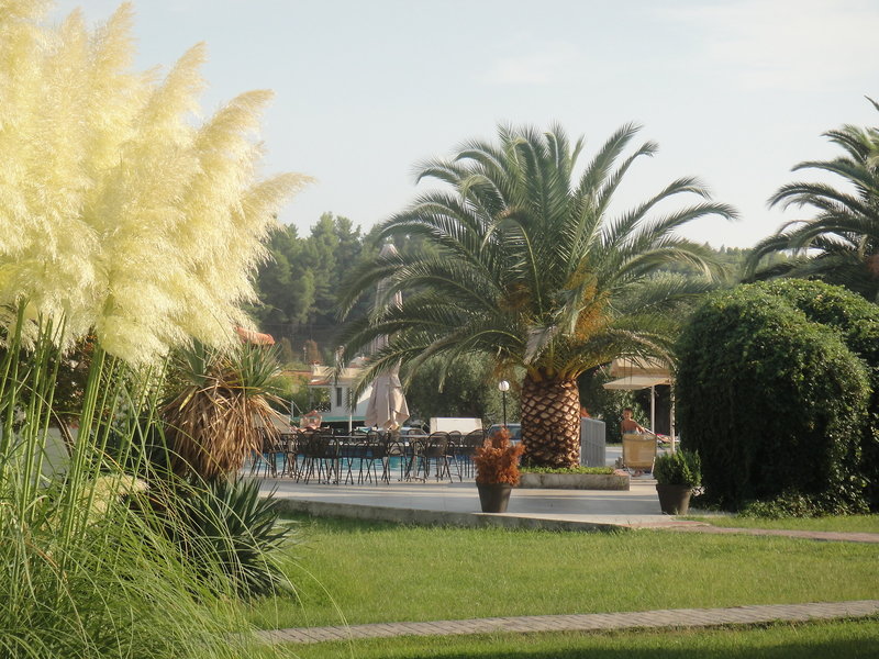 Iris in Siviri, Thessaloniki (Chalkidiki) Außenaufnahme