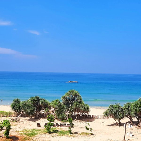 Aathma Ayurveda Beach Resort in Balapitiya, Colombo Strand