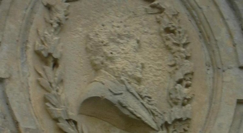 Tiere