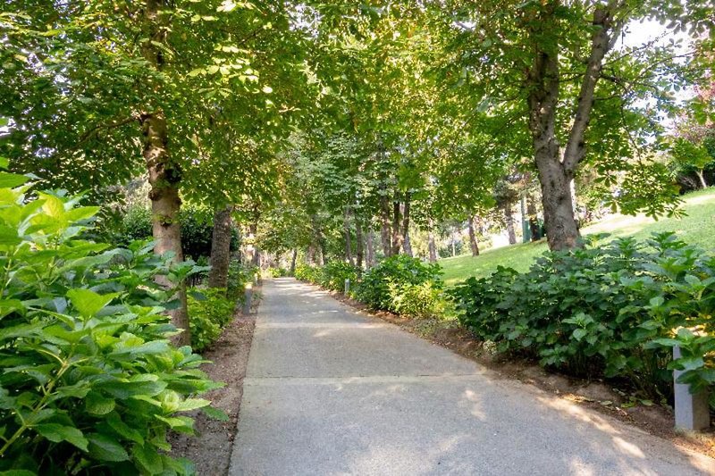 Garten