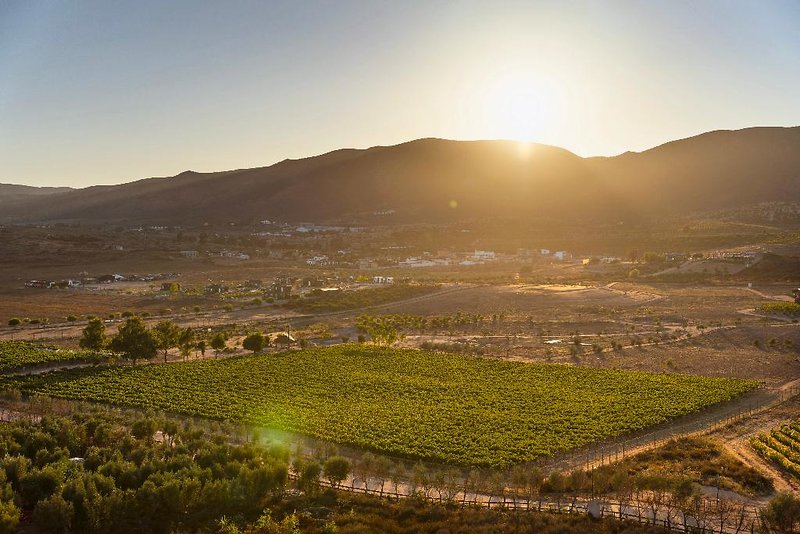Banyan Tree Veya Valle de Guadalupe in Ensenada, San Jose Cabo Landschaft