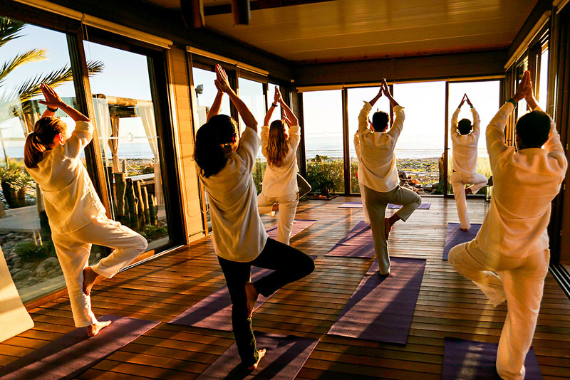 Wellness