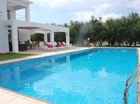 Amalthia Villas in Peyia, Paphos (S�den) Pool