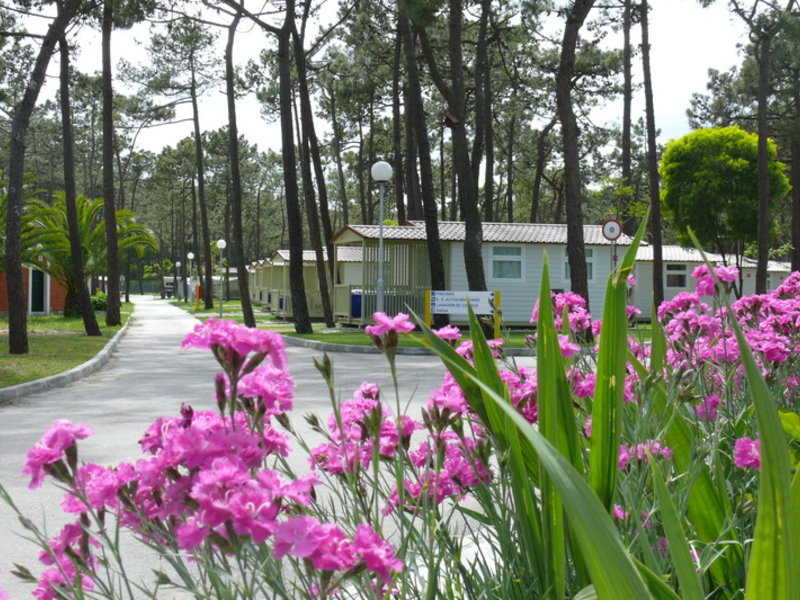 Camping Orbitur Gala in Figueira da Foz, Porto Garten