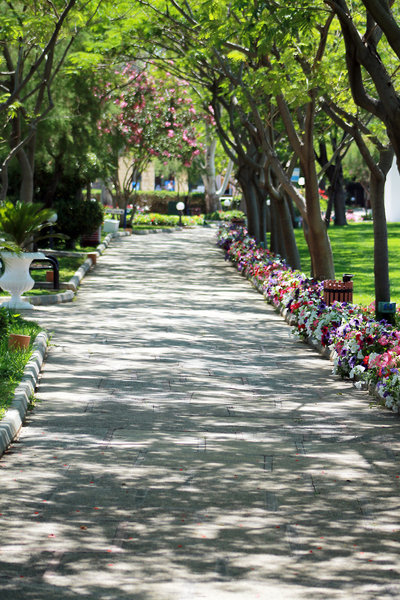Garten