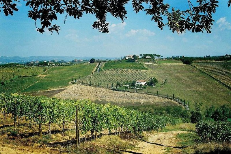 Landschaft