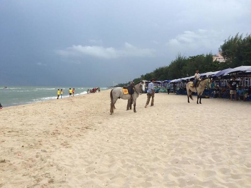 Strand