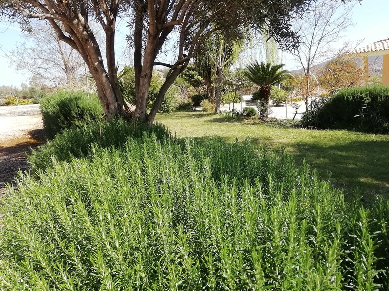 Hotel Velasole in Siniscola, Olbia,Sardinien Außenaufnahme