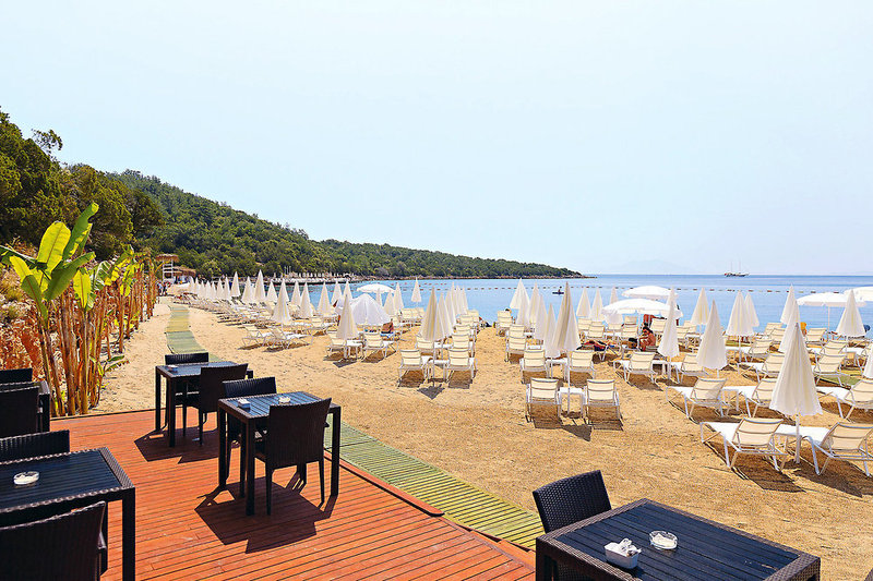Strand