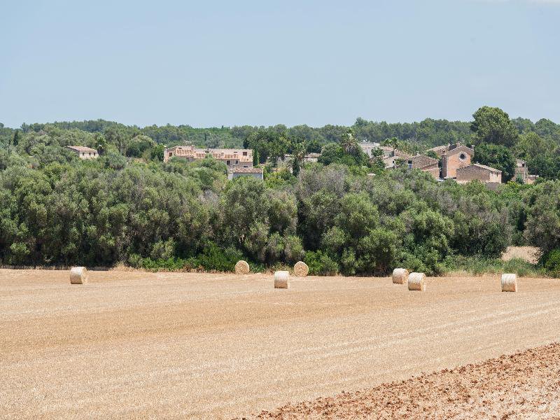 Landschaft