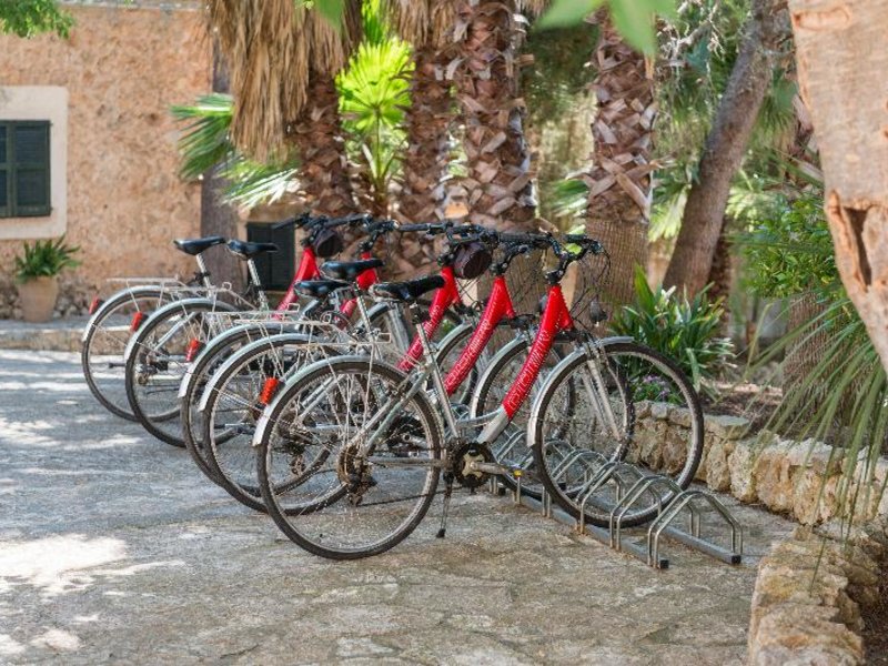 Sport und Freizeit