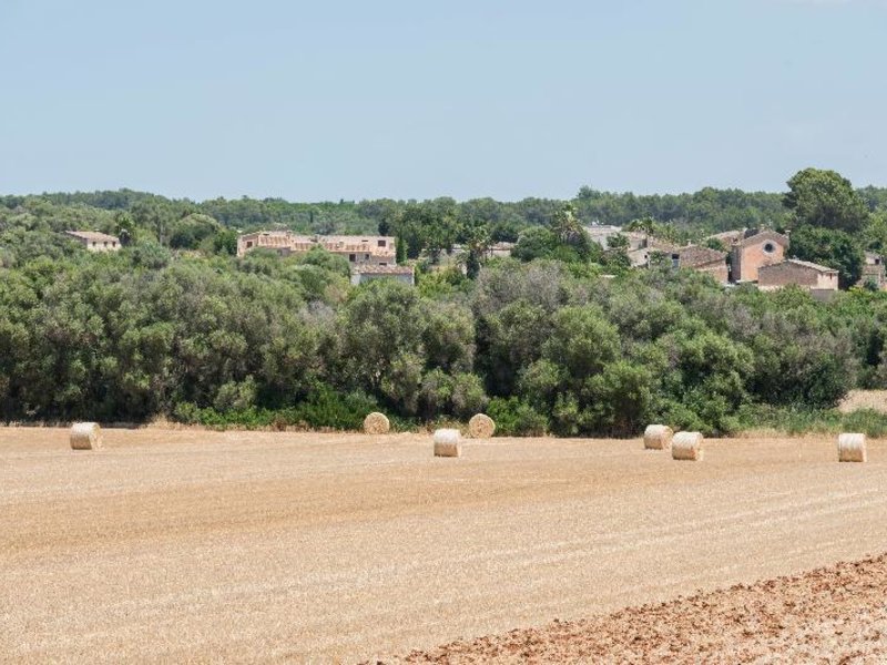 Landschaft