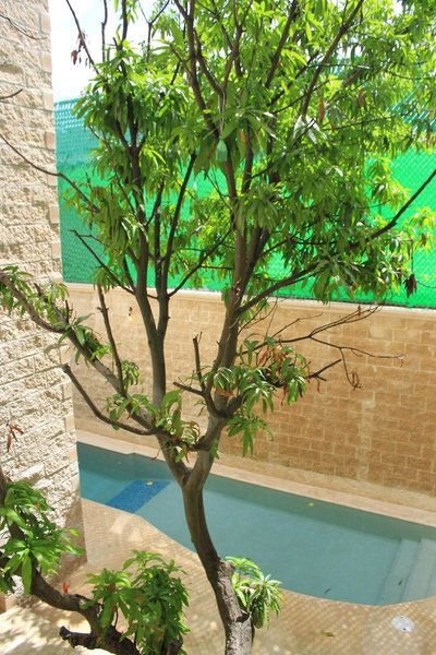 Angelo's Hotel in Playa del Carmen, Cancun Landschaft