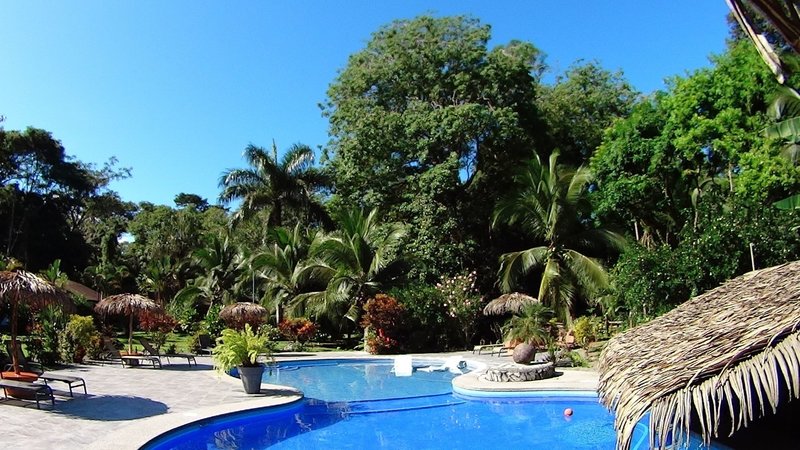 Suizo Loco Lodge in Cahuita, San Jose (Costa Rica) Pool