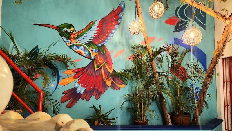 Linda Vecindad in Playa del Carmen, Cancun Sport und Freizeit