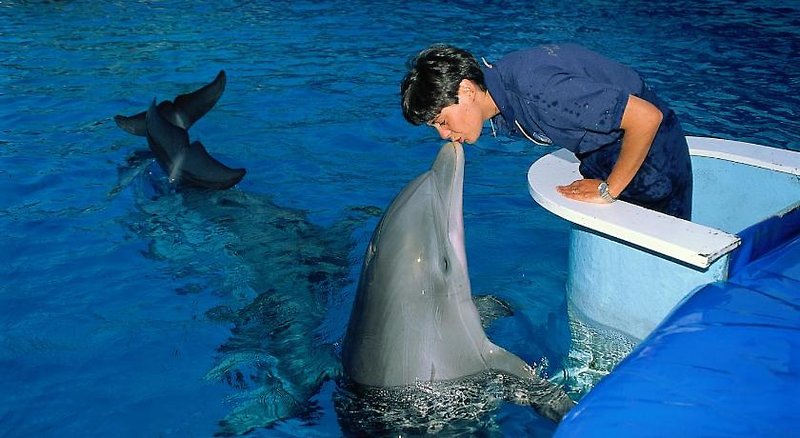 Hotel Barca D Oro in Bellaria-Igea Marina, Venedig Tiere