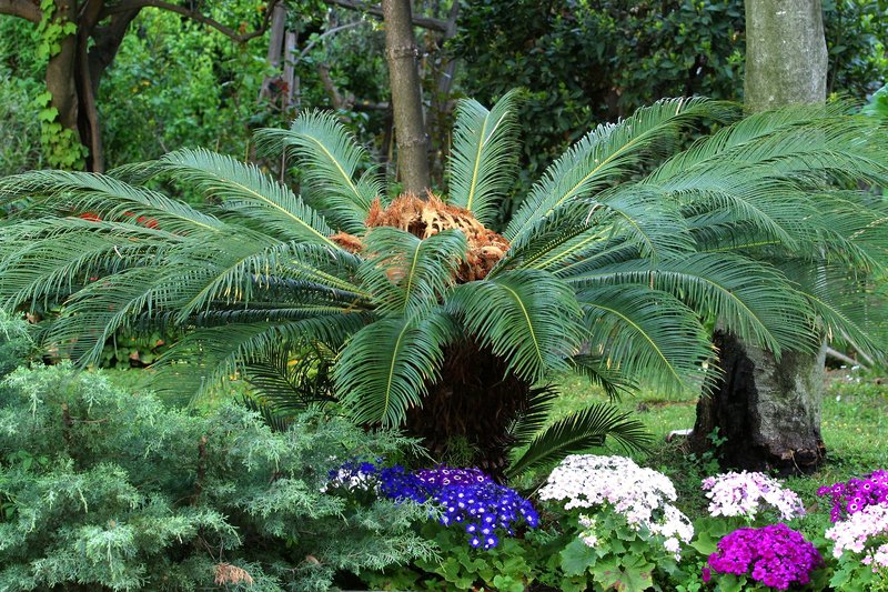Garten