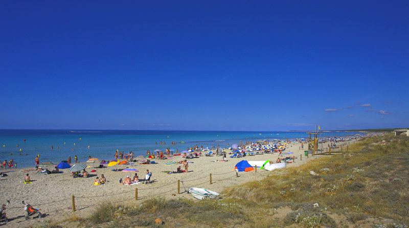 Strand