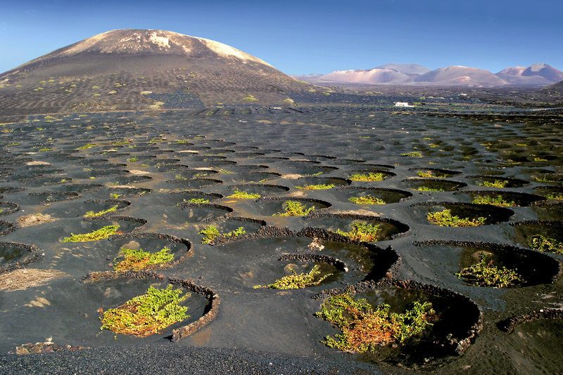 ASI Lanzarote: Feuerberge und Meer in Playa de los Pocillos, Lanzarote Landschaft