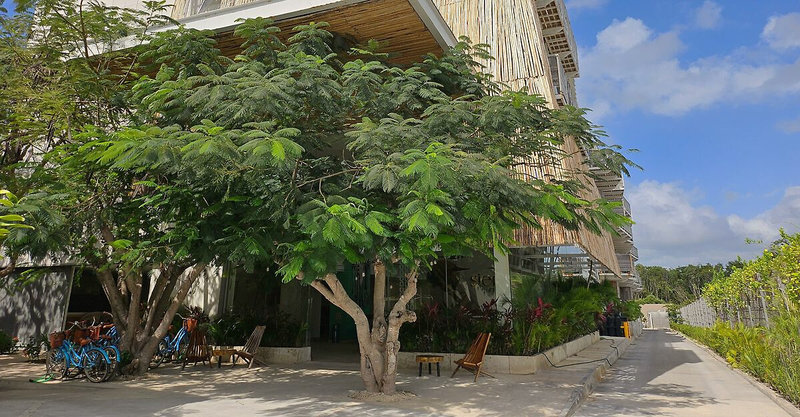 Siente Tulum in Tulum, Cancun Außenaufnahme