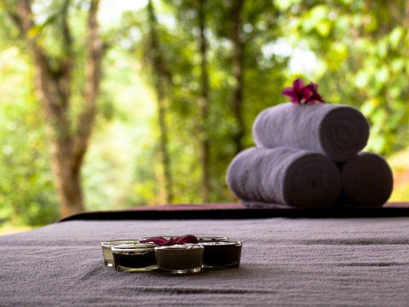 Wellness