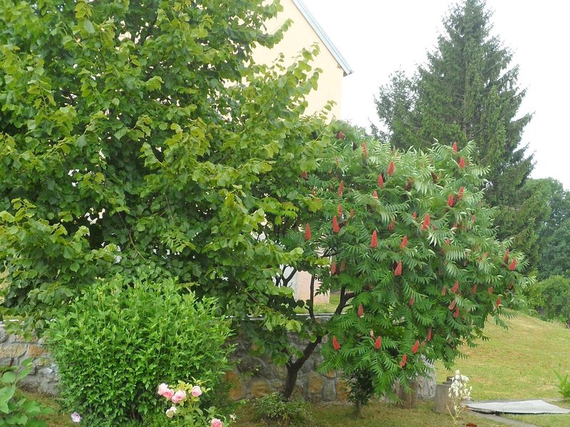 Apartments Rendulic in Rakovica, Zadar (Kroatien) Außenaufnahme
