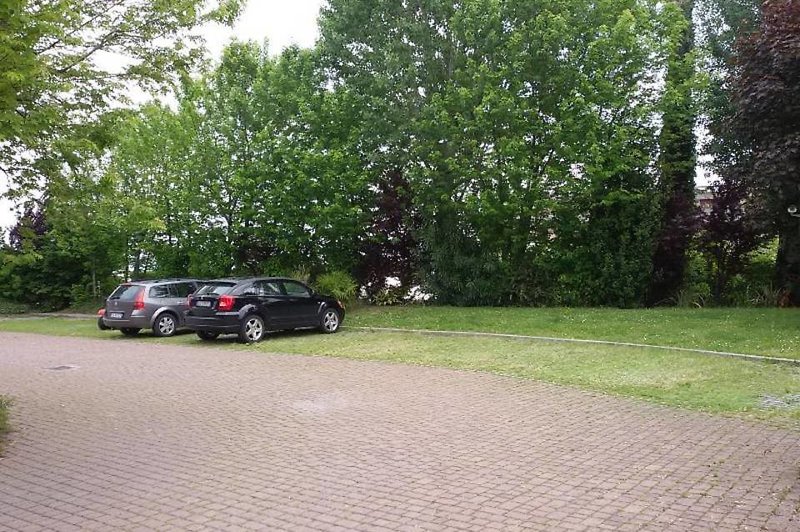 Garten